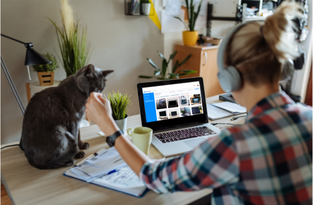 VirtualVerify on-screen